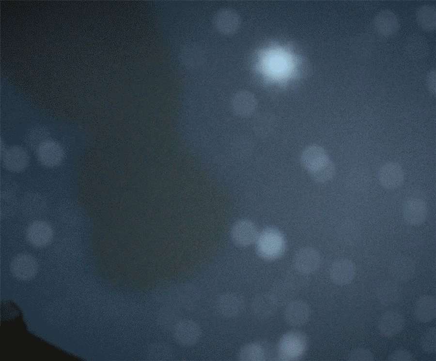ollyburn.com