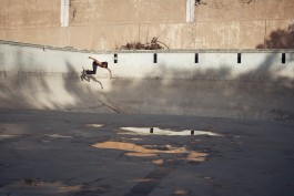 ollyburn.com