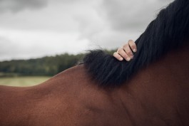 ollyburn.com