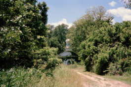 ollyburn.com