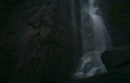 ollyburn.com